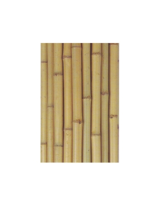 白竹3mx20/22(7分) 1本